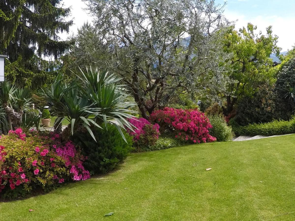 Abies Lago Di Como Dongo Kültér fotó