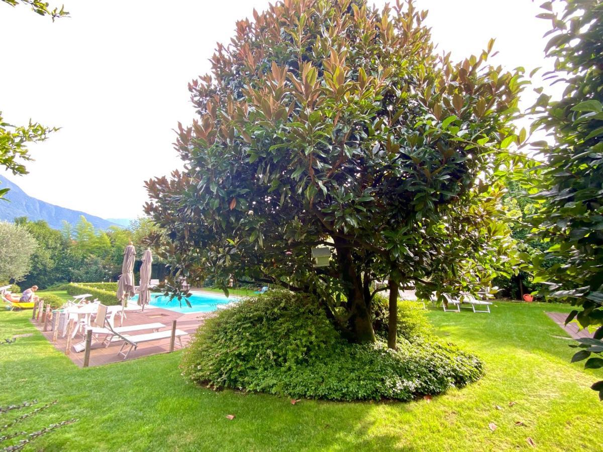 Abies Lago Di Como Dongo Kültér fotó